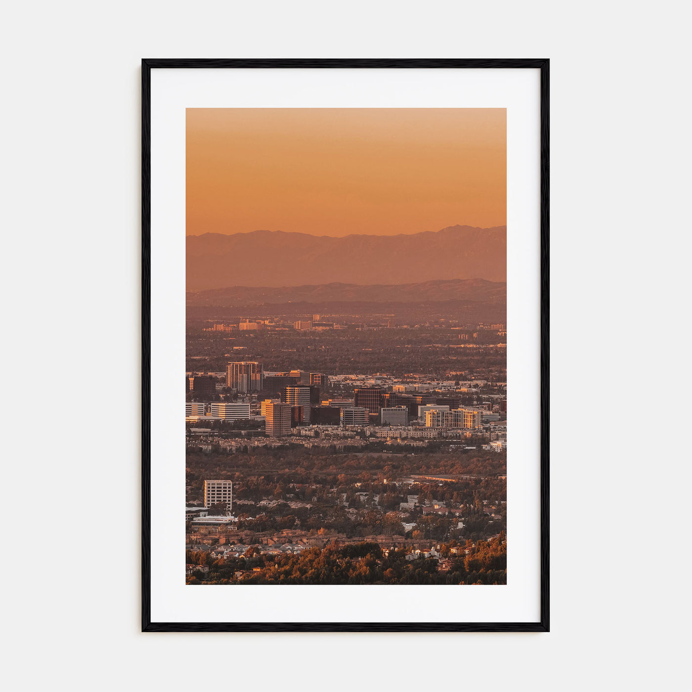 Anaheim Photo Color Poster