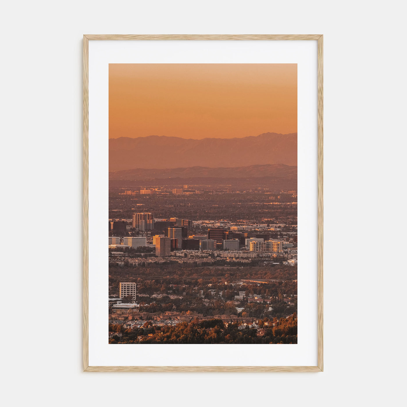 Anaheim Photo Color Poster