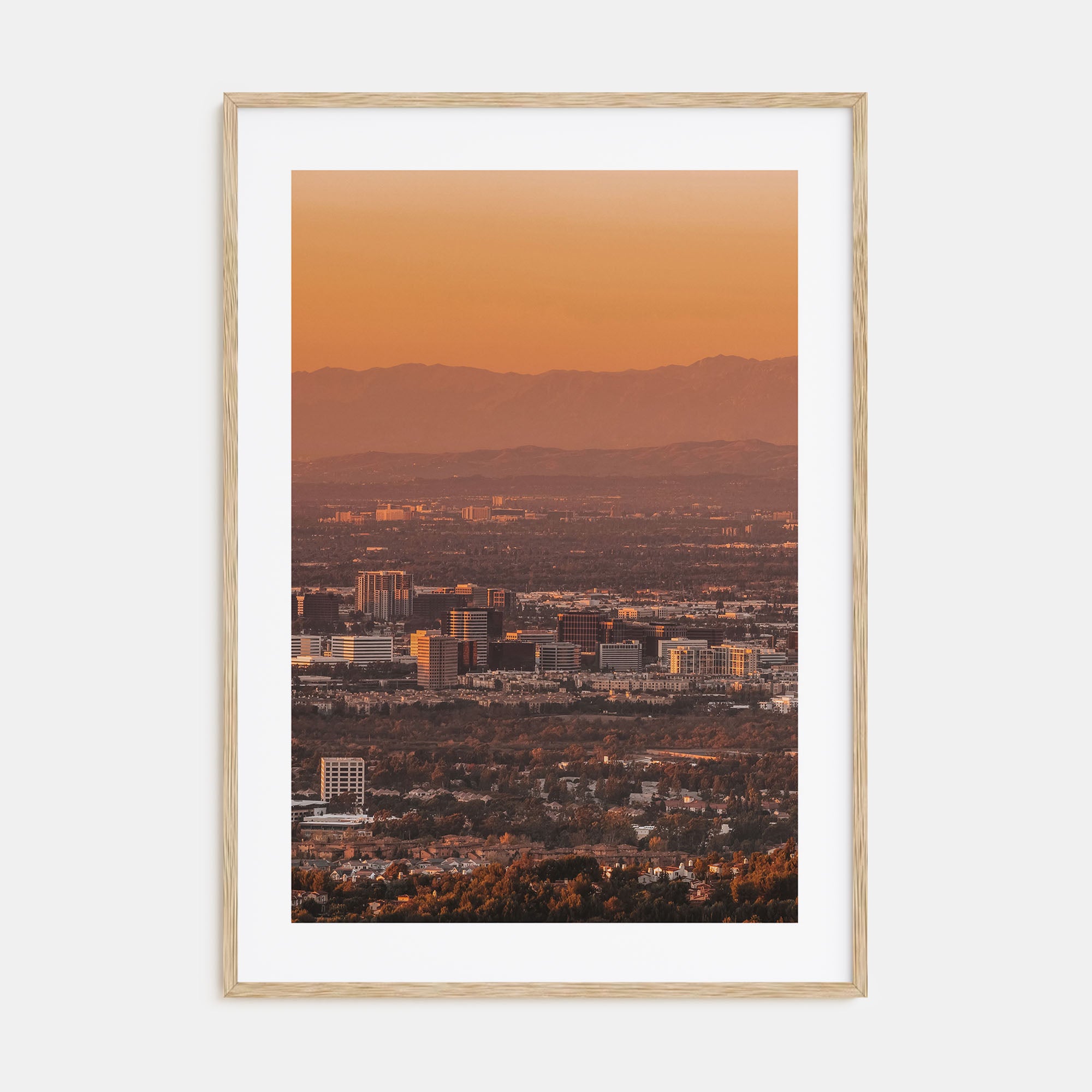 Anaheim Photo Color Poster