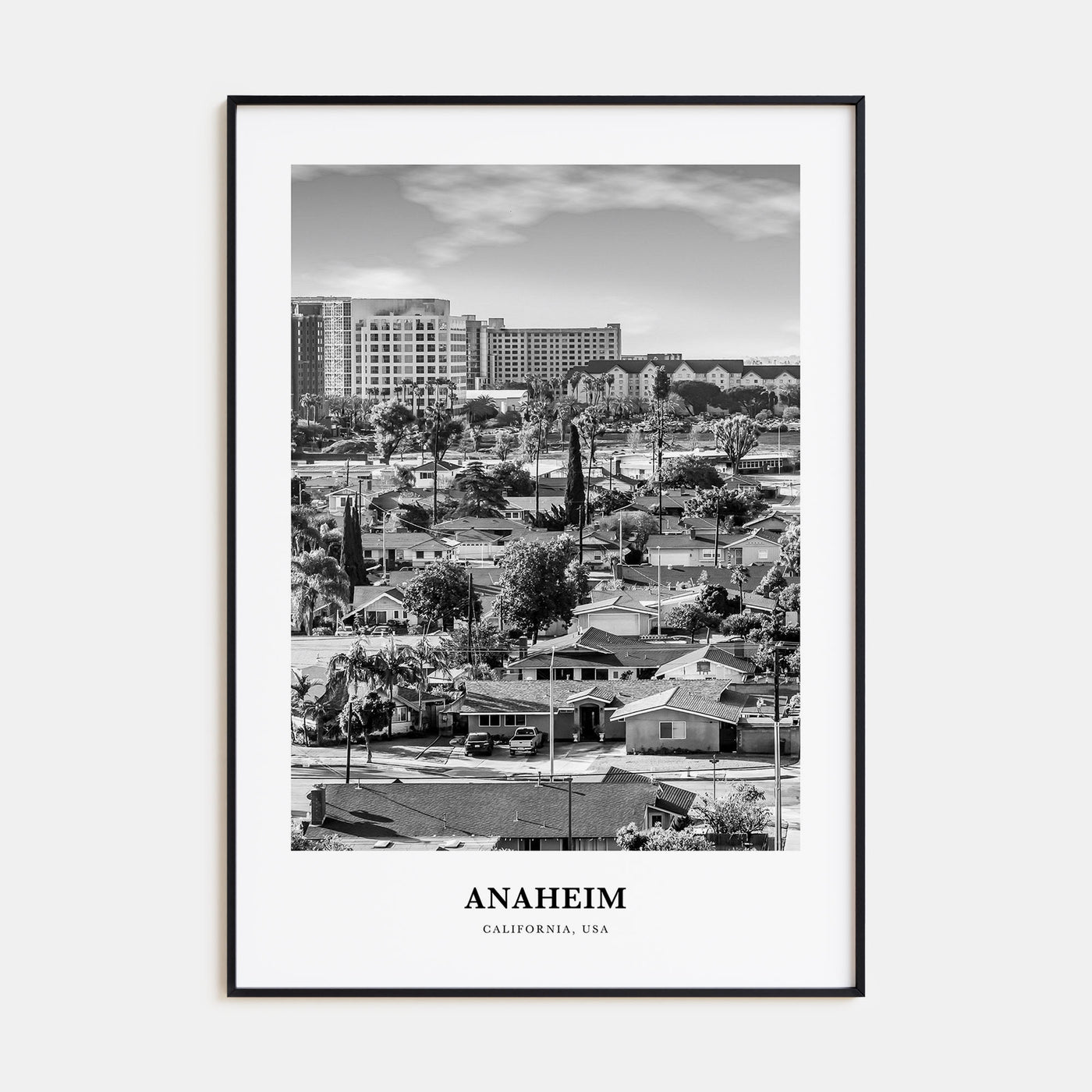 Anaheim Portrait B&W No 1 Poster