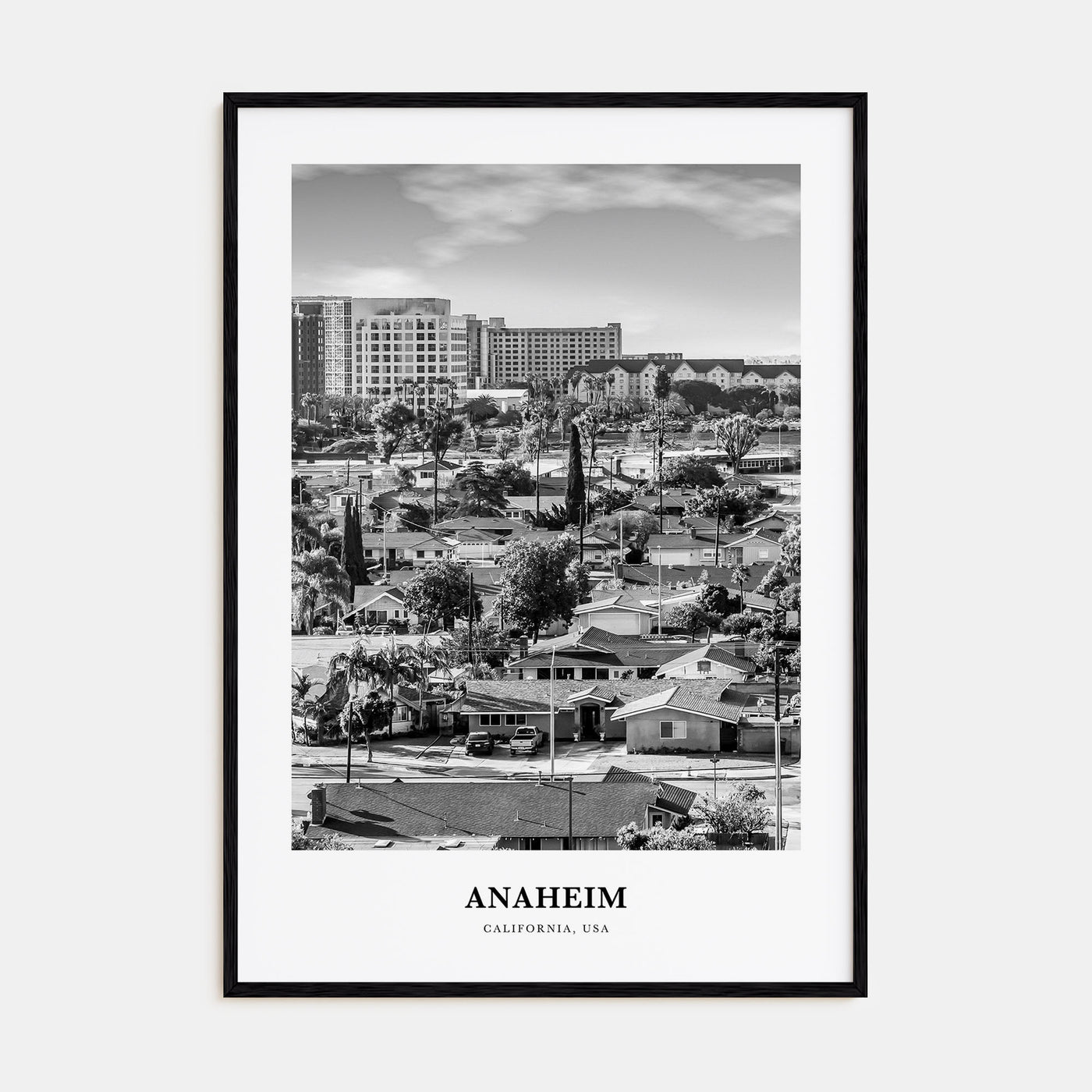 Anaheim Portrait B&W No 1 Poster