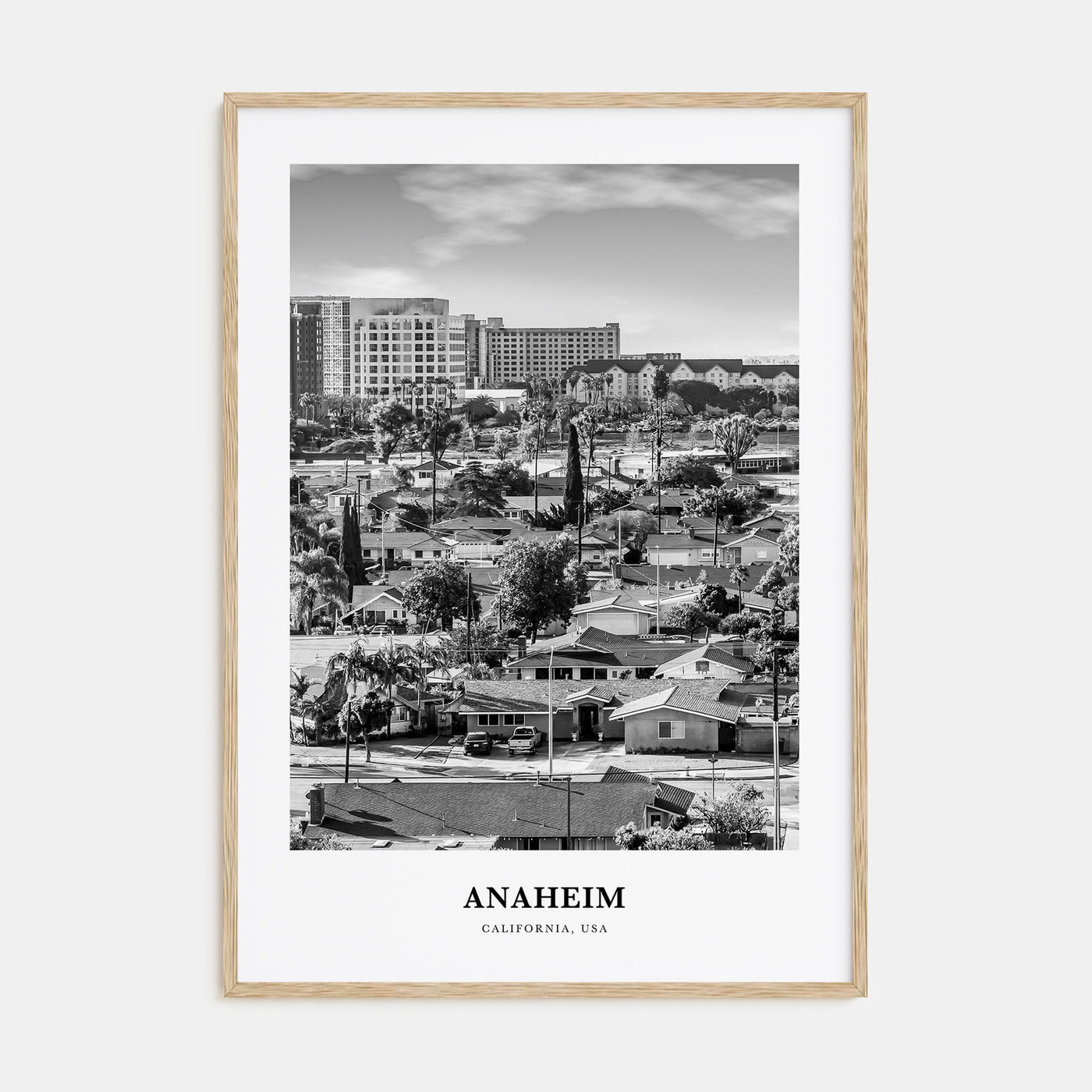 Anaheim Portrait B&W No 1 Poster