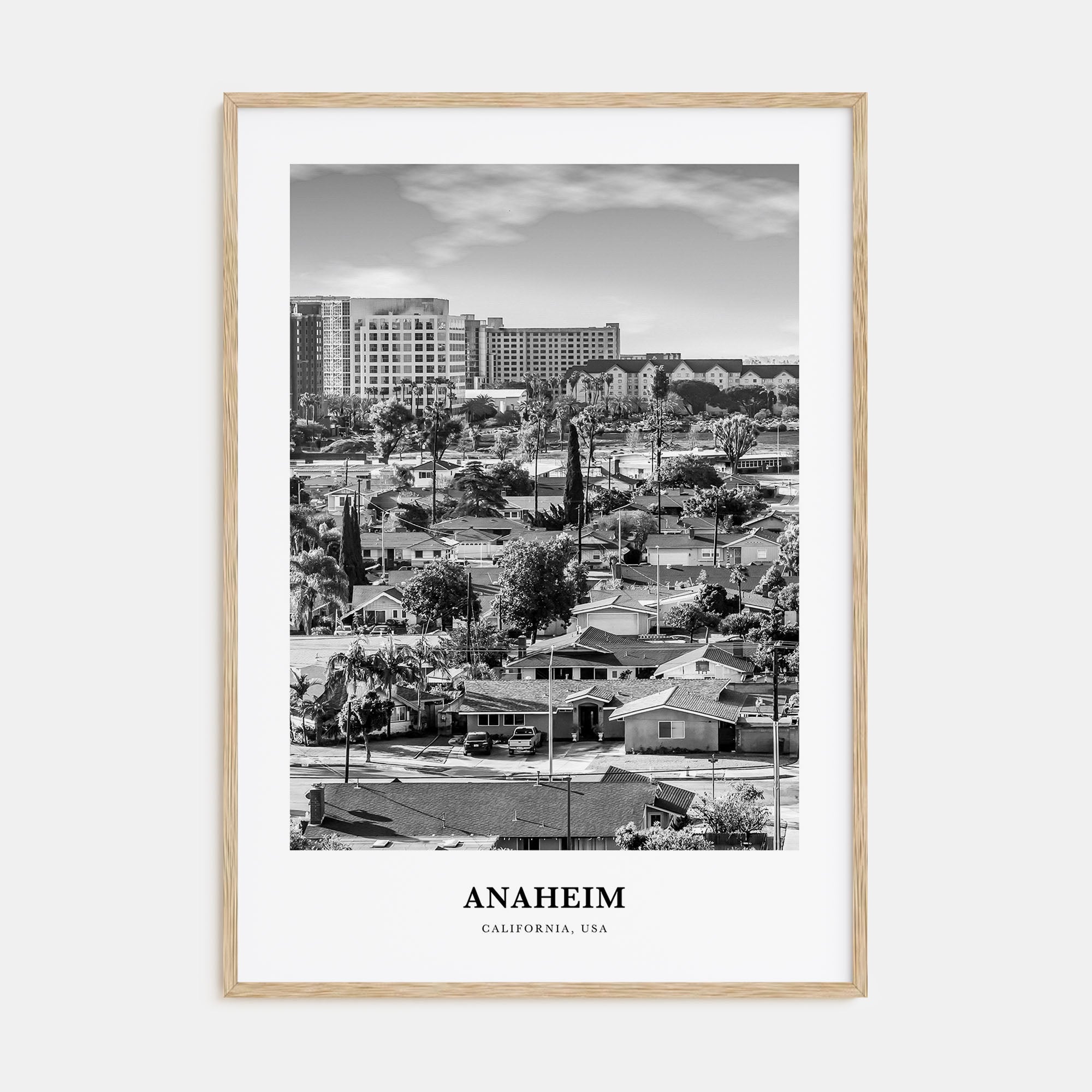 Anaheim Portrait B&W No 1 Poster