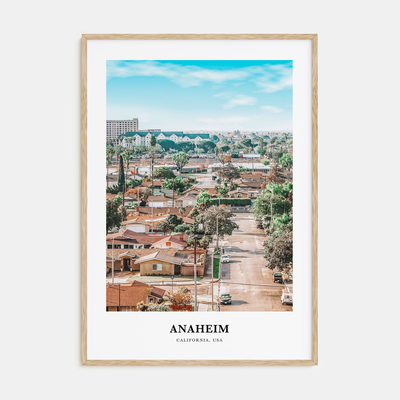 Anaheim Portrait Color Poster