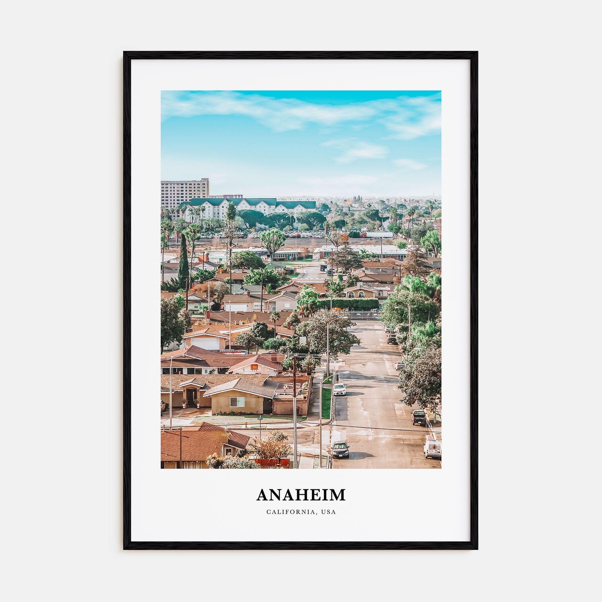 Anaheim Portrait Color Poster