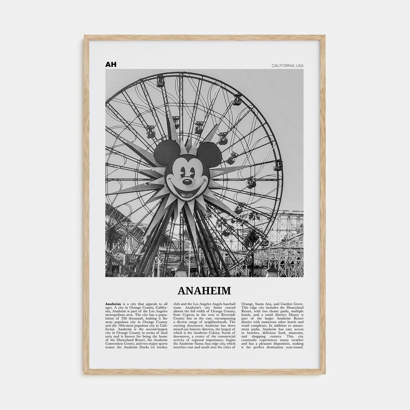 Anaheim Travel B&W No 1 Poster