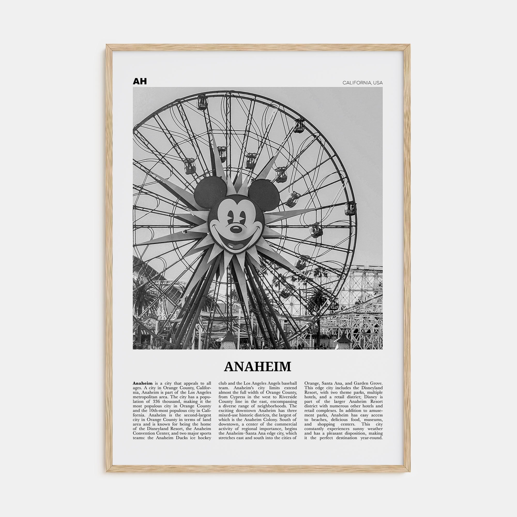 Anaheim Travel B&W No 1 Poster