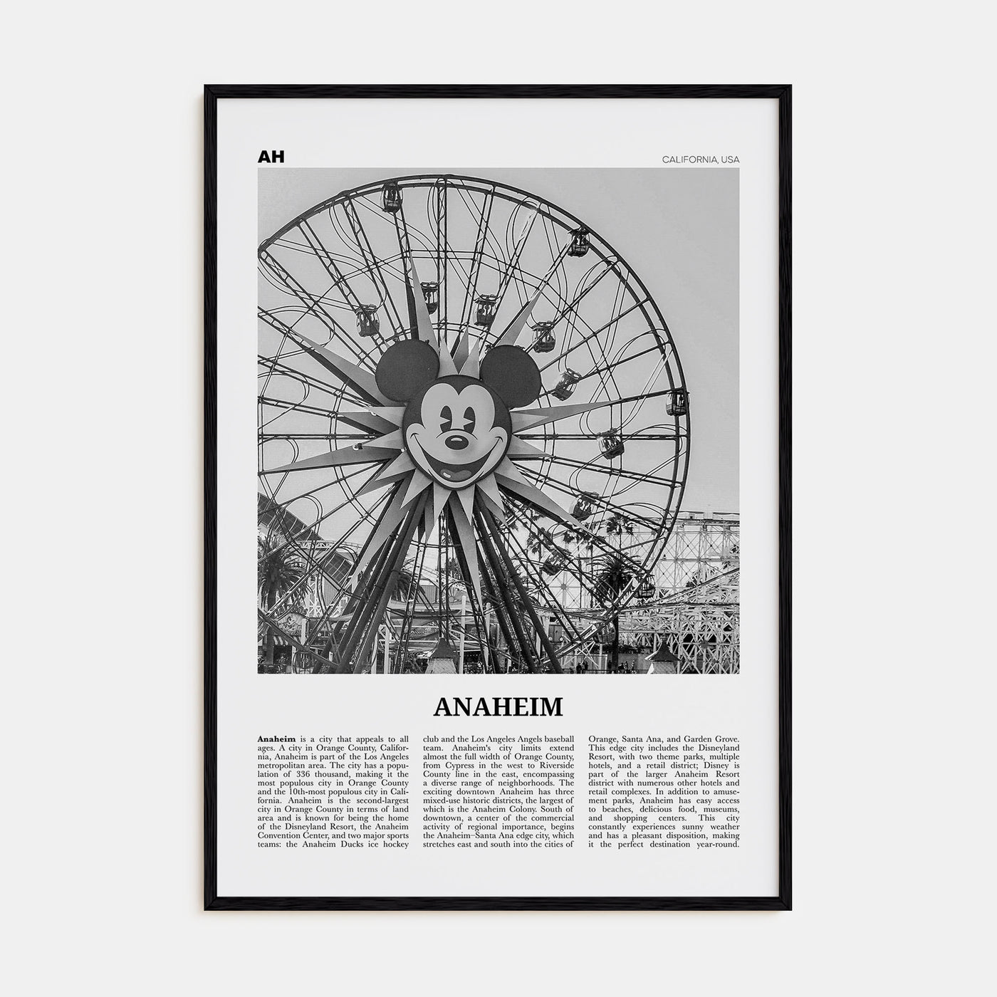 Anaheim Travel B&W No 1 Poster
