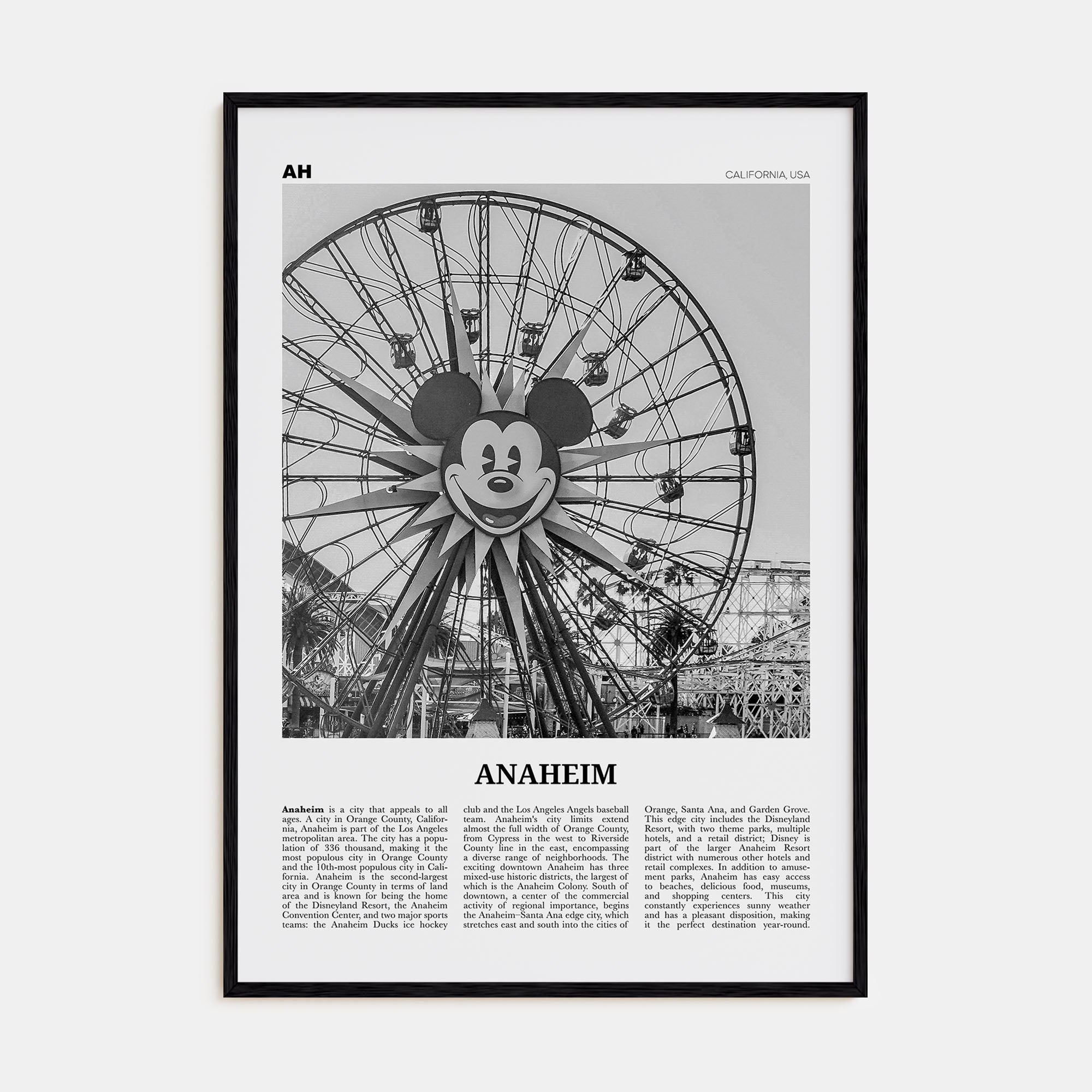 Anaheim Travel B&W No 1 Poster