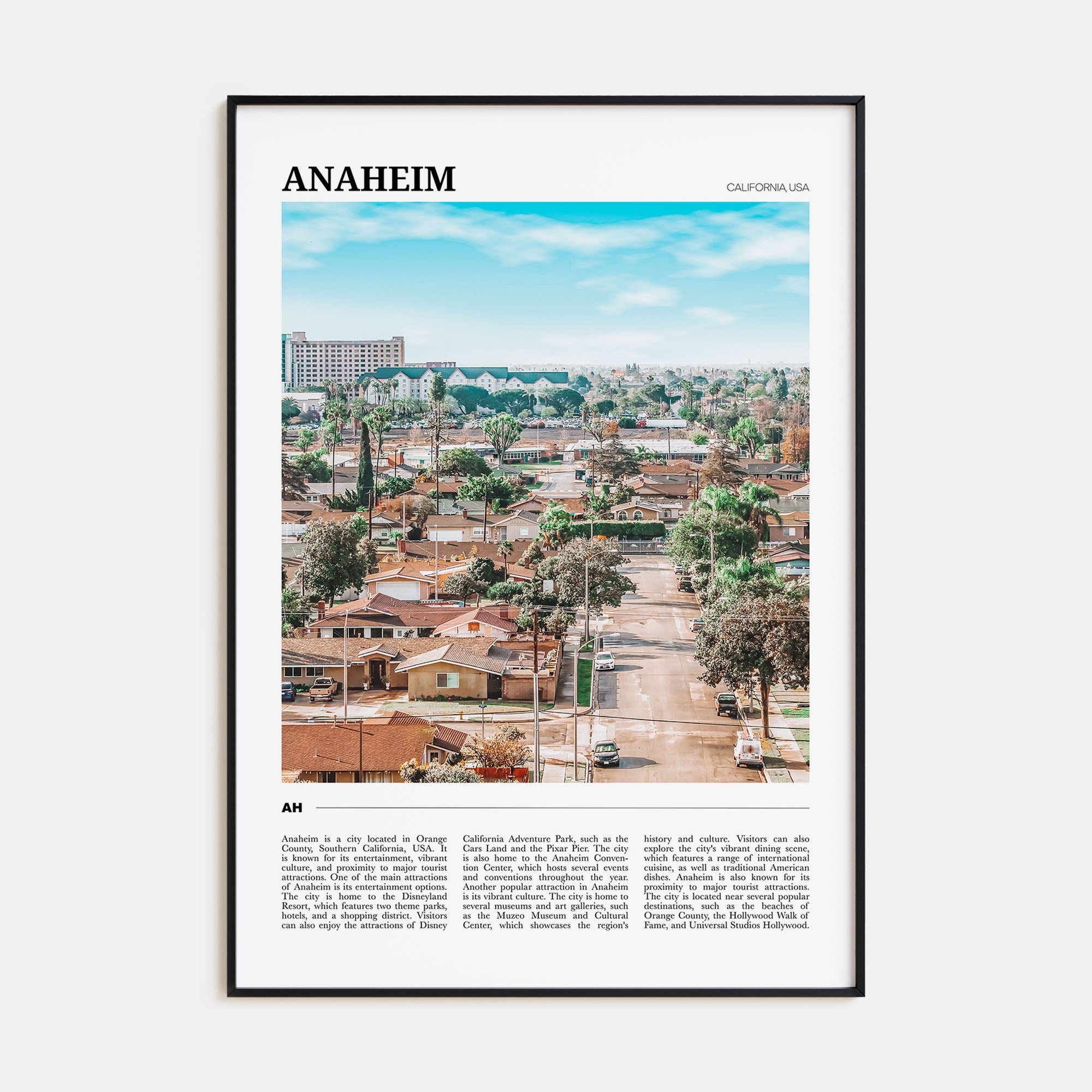 Anaheim Travel Color Poster