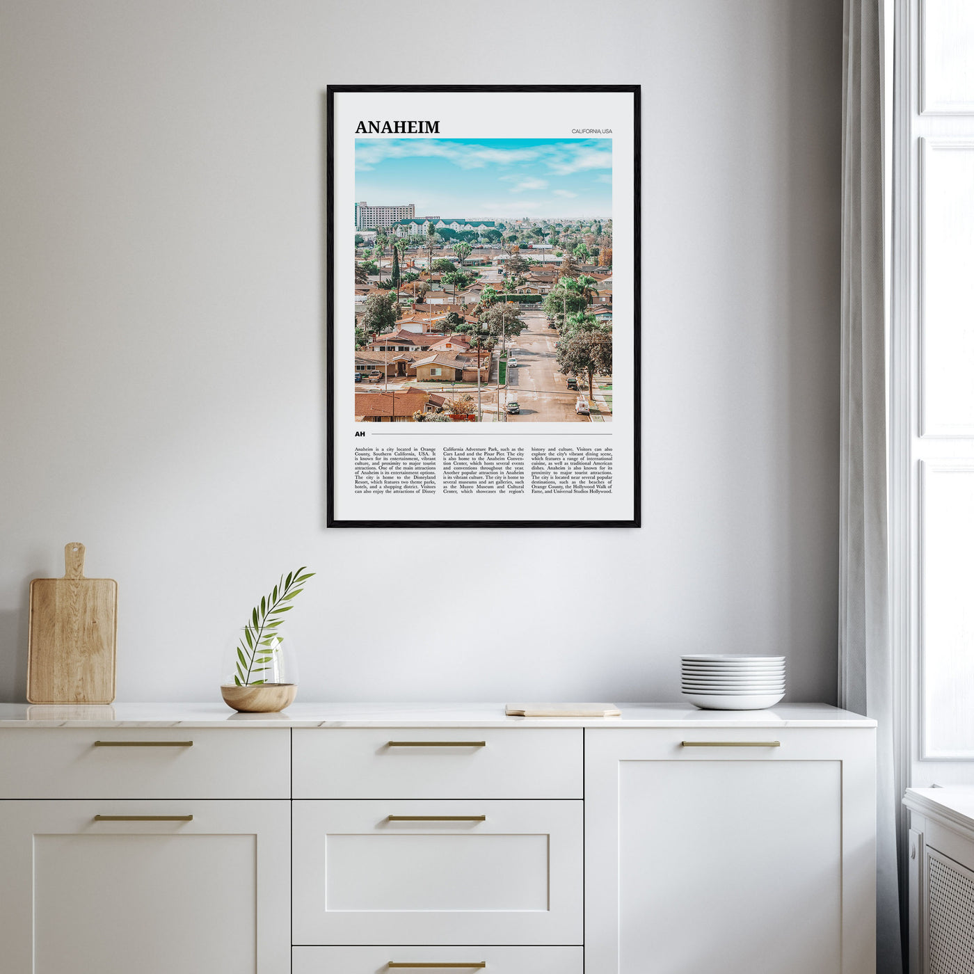 Anaheim Travel Color Poster
