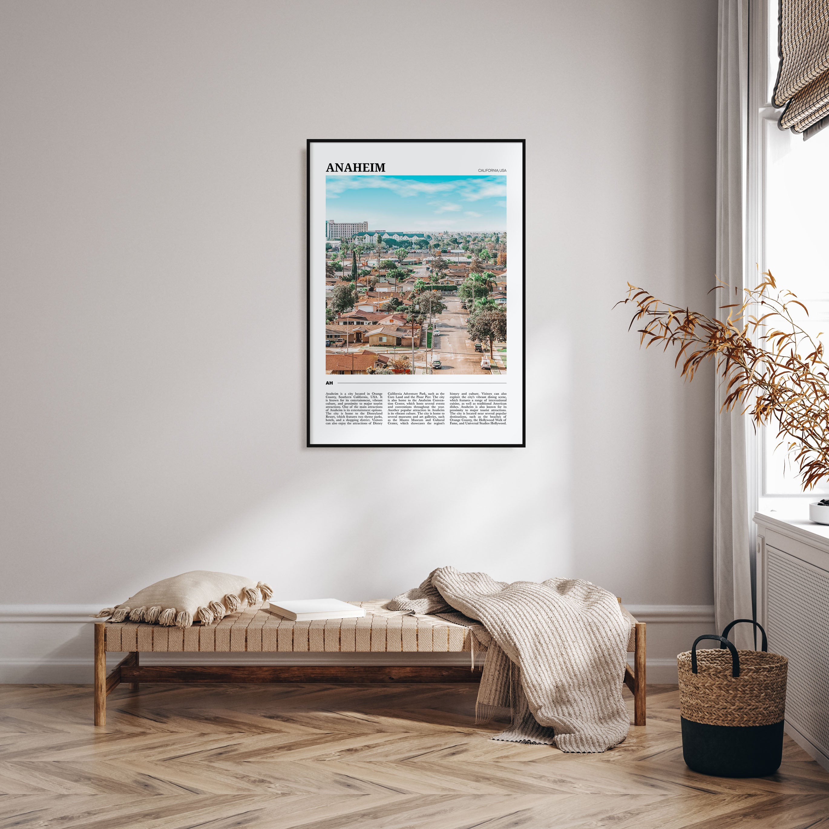 Anaheim Travel Color Poster