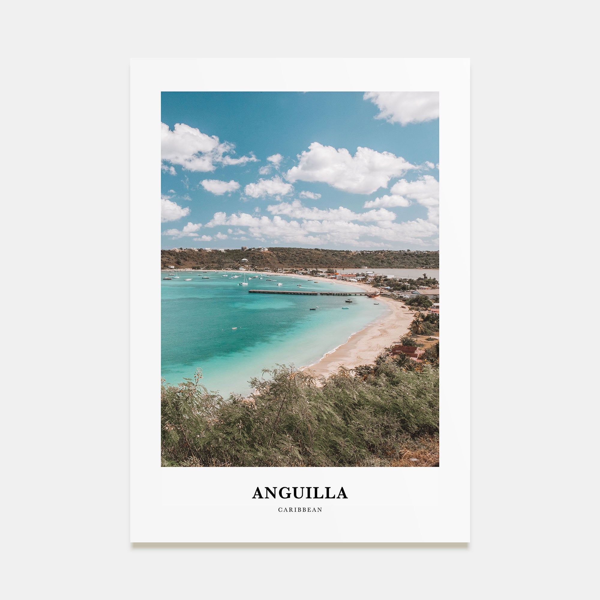 Anguilla Portrait Color Poster