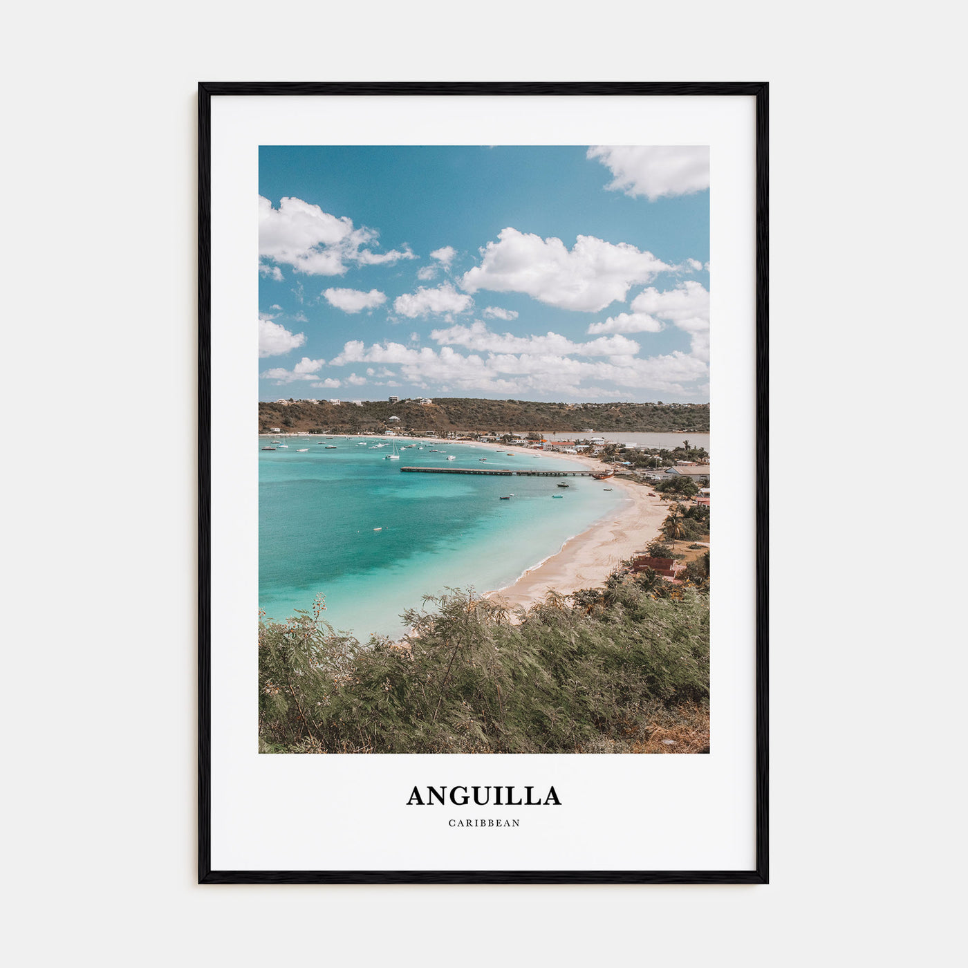 Anguilla Portrait Color Poster