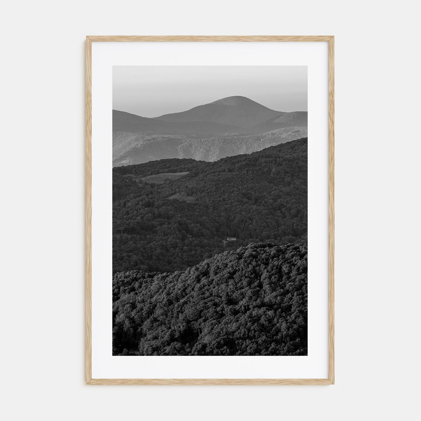Appalachia Photo B&W Poster