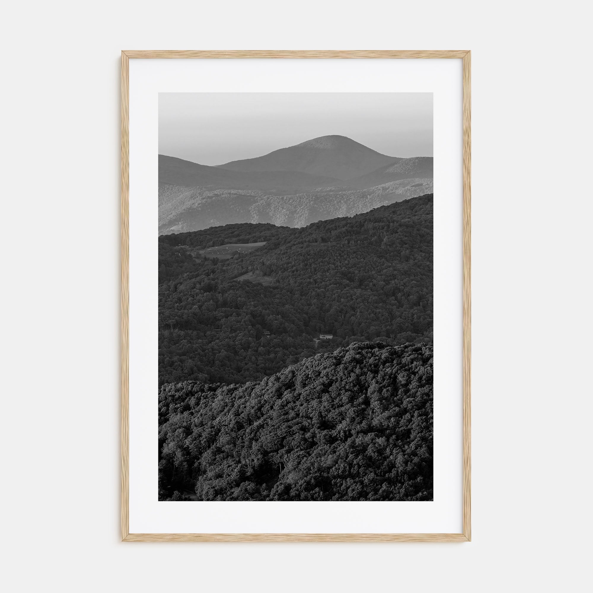 Appalachia Photo B&W Poster
