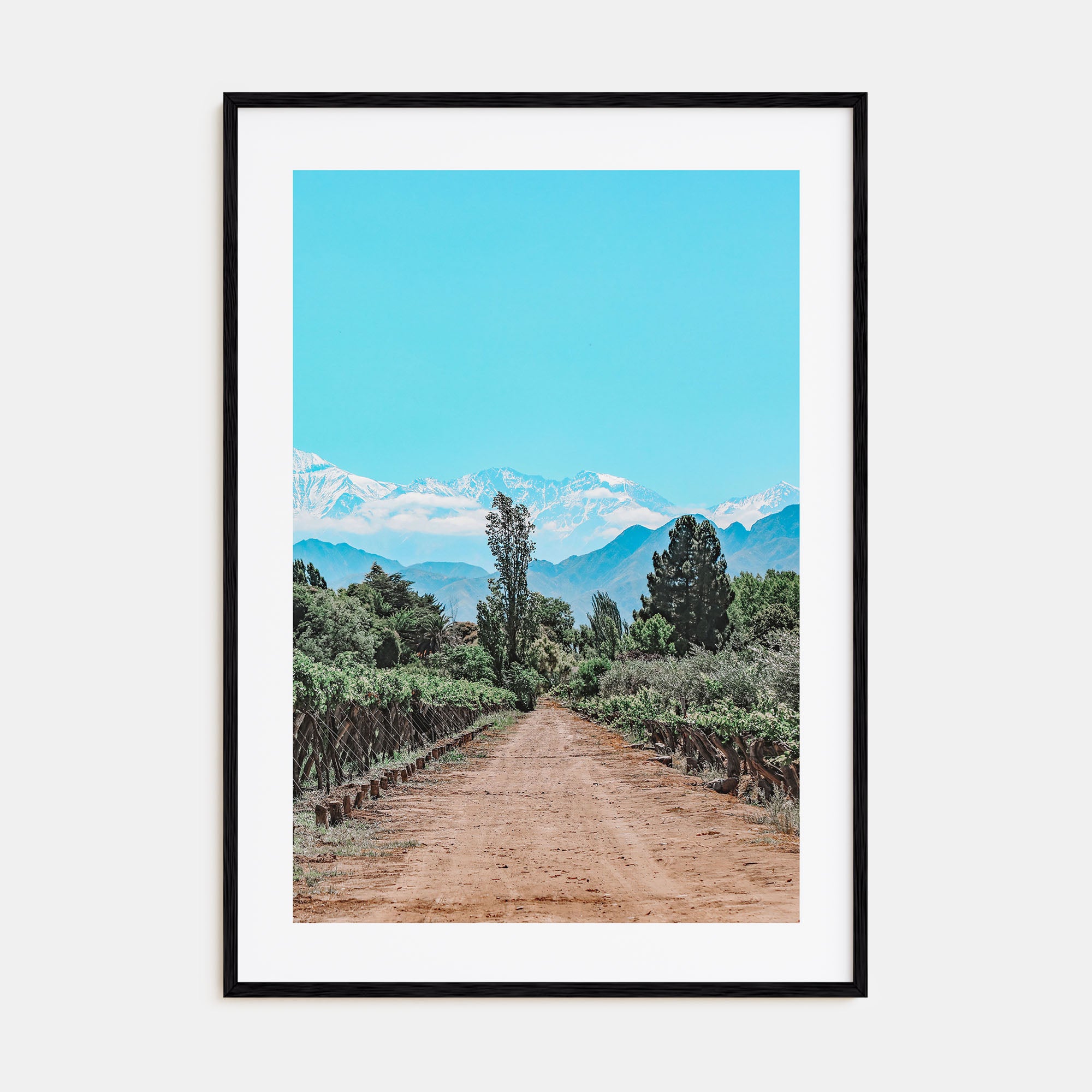 Argentina Photo Color Poster