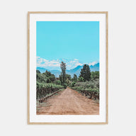 Argentina Photo Color Poster