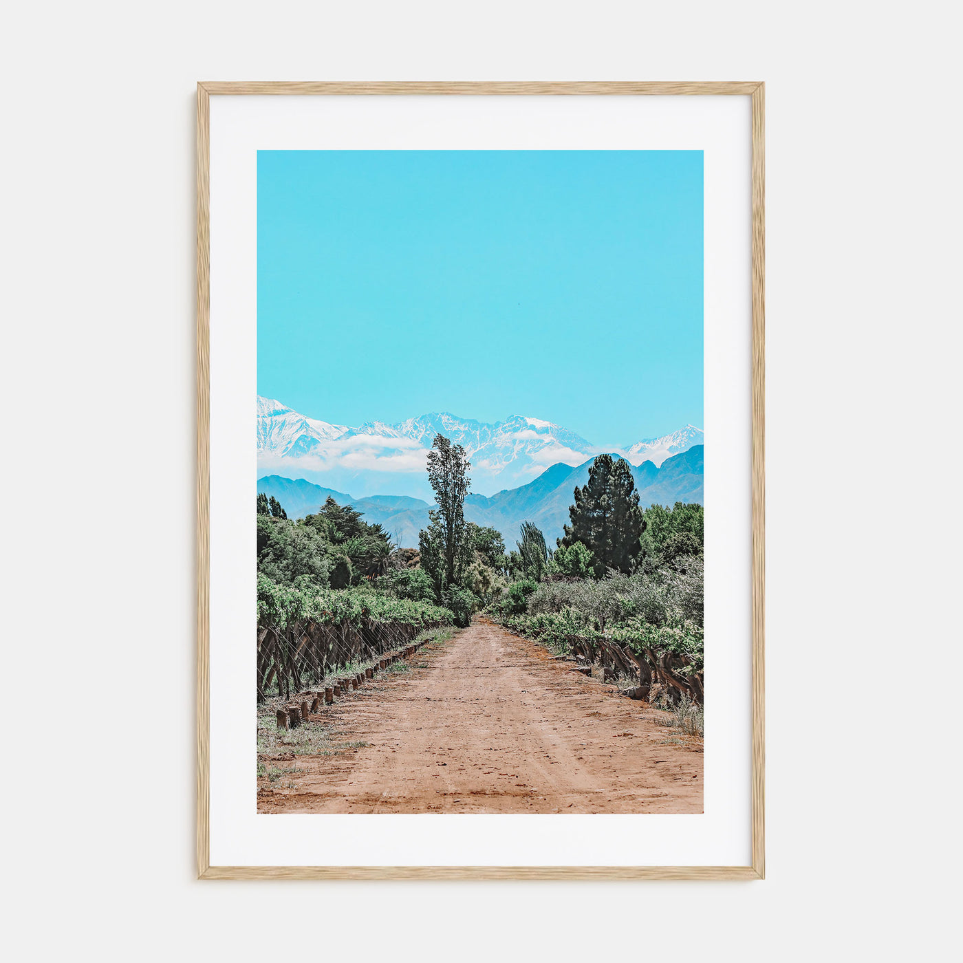 Argentina Photo Color Poster