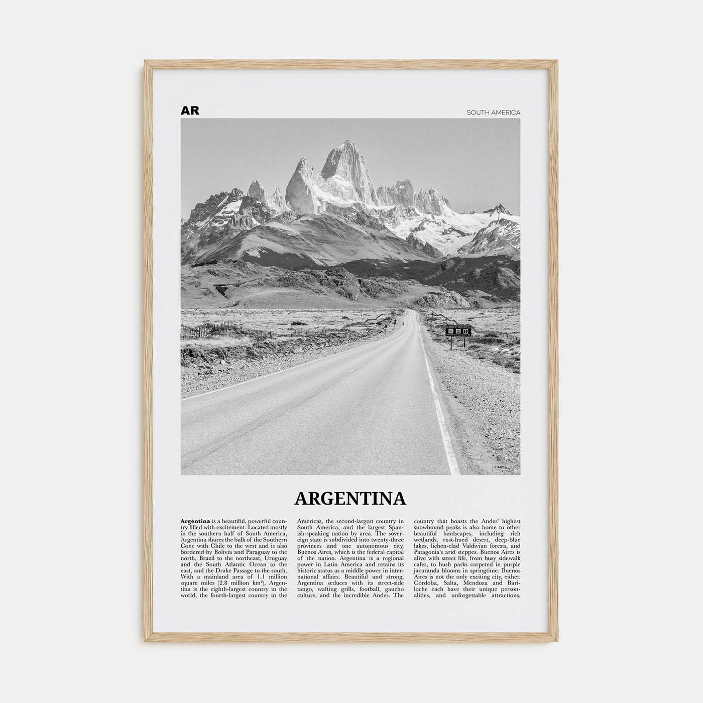 Argentina Travel B&W No 1 Poster