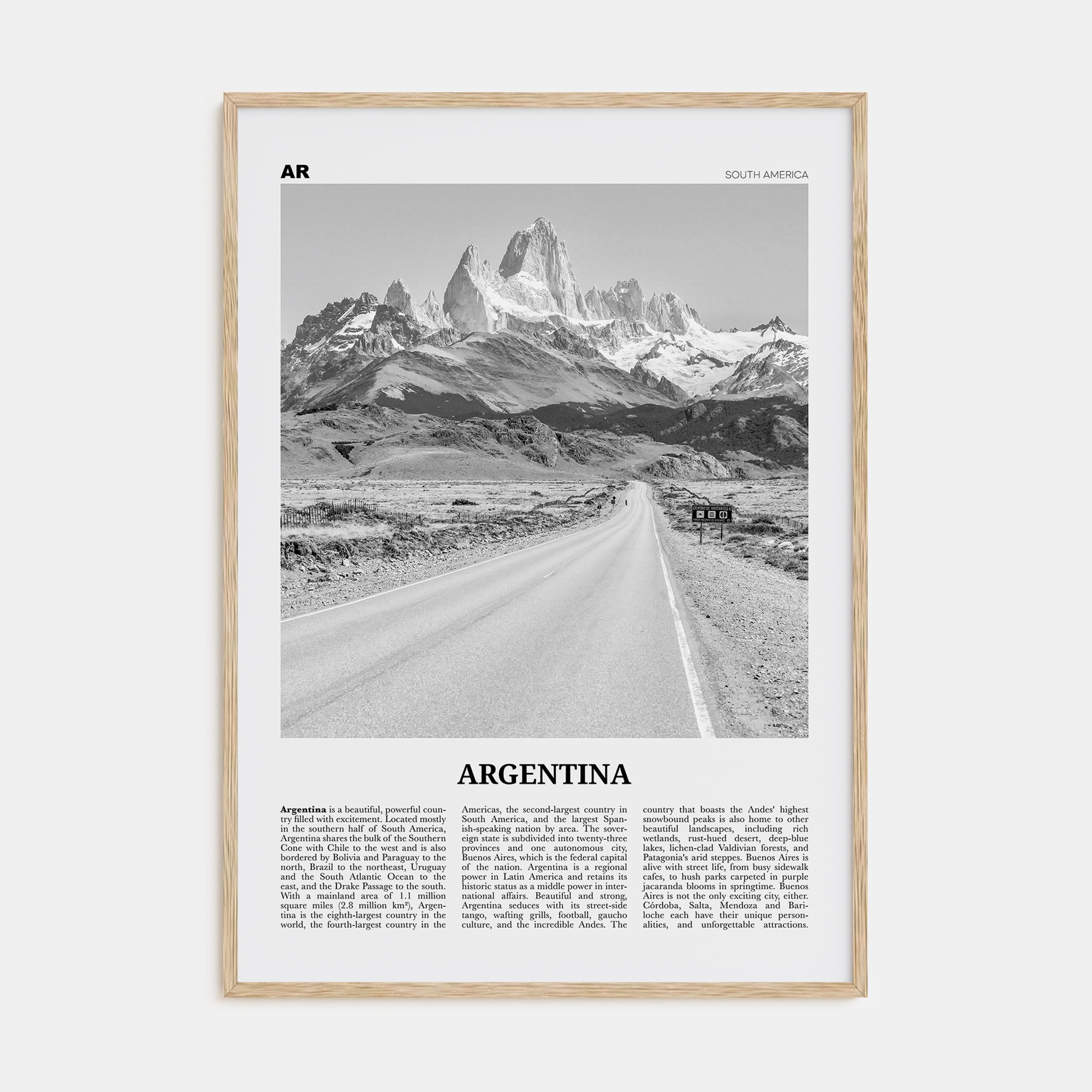 Argentina Travel B&W No 1 Poster