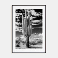 Arizona Photo B&W No 2 Poster