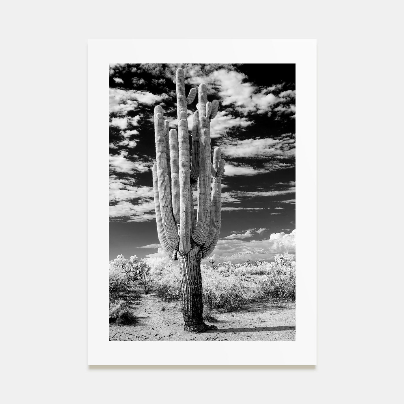 Arizona Photo B&W No 2 Poster