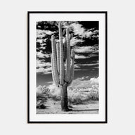 Arizona Photo B&W No 2 Poster