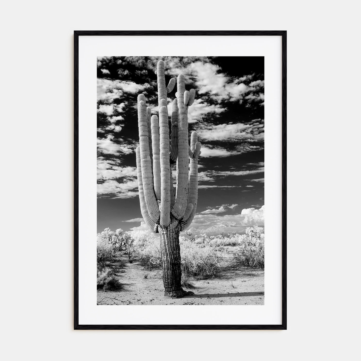 Arizona Photo B&W No 2 Poster