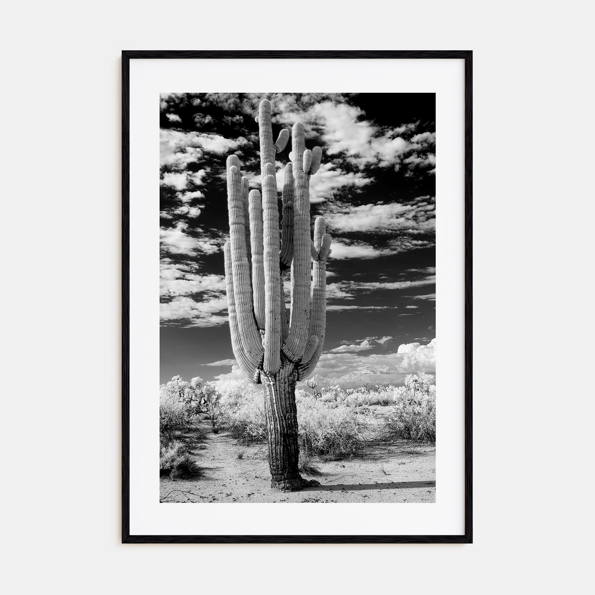 Arizona Photo B&W No 2 Poster