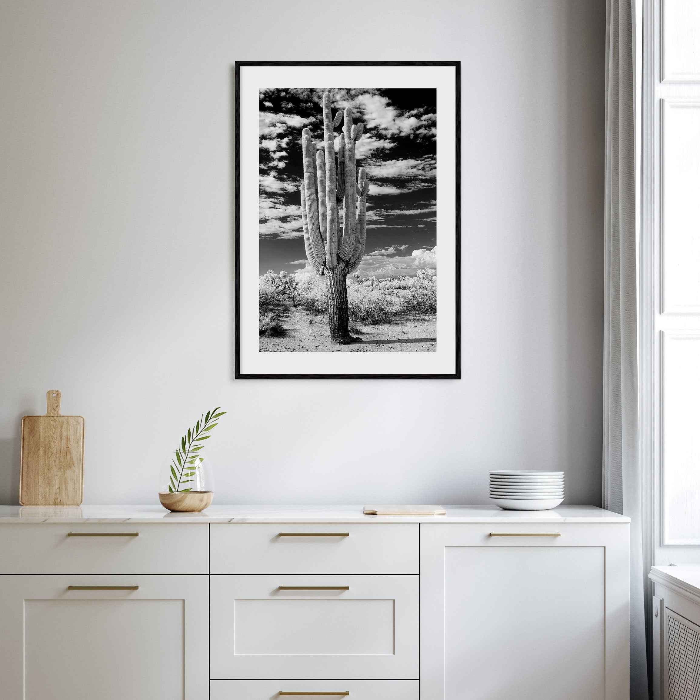 Arizona Photo B&W No 2 Poster