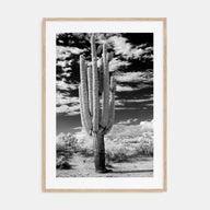 Arizona Photo B&W No 2 Poster