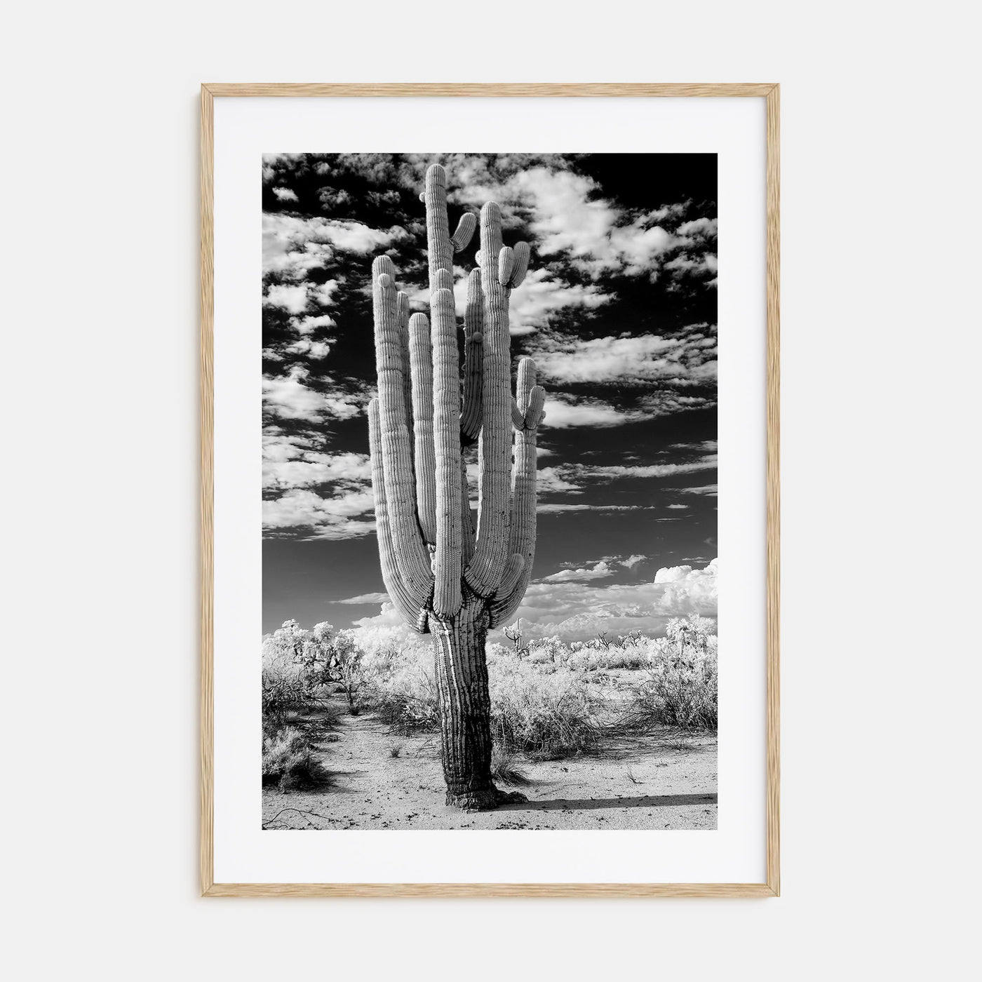 Arizona Photo B&W No 2 Poster