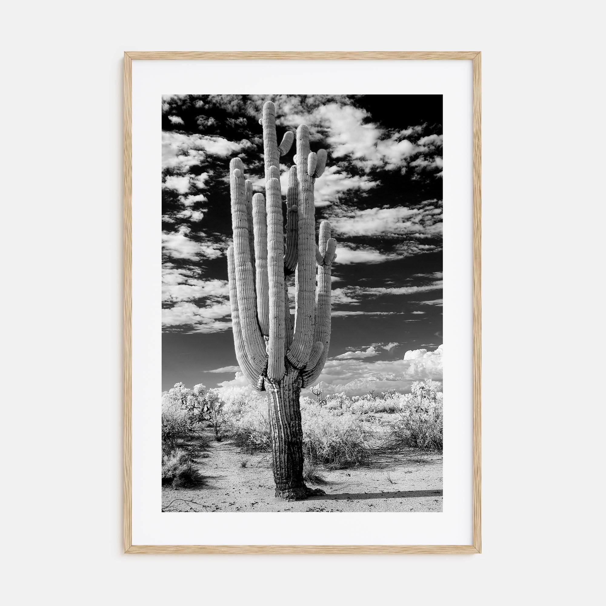 Arizona Photo B&W No 2 Poster