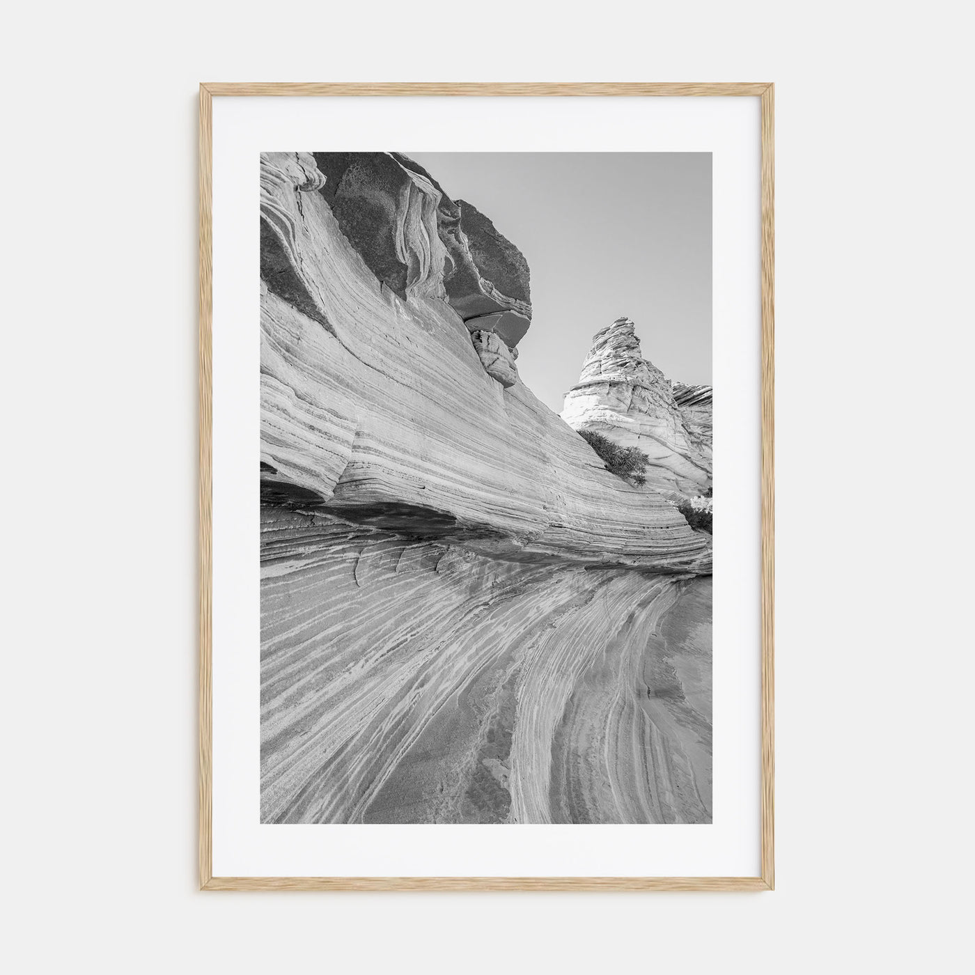 Arizona Photo B&W No 3 Poster