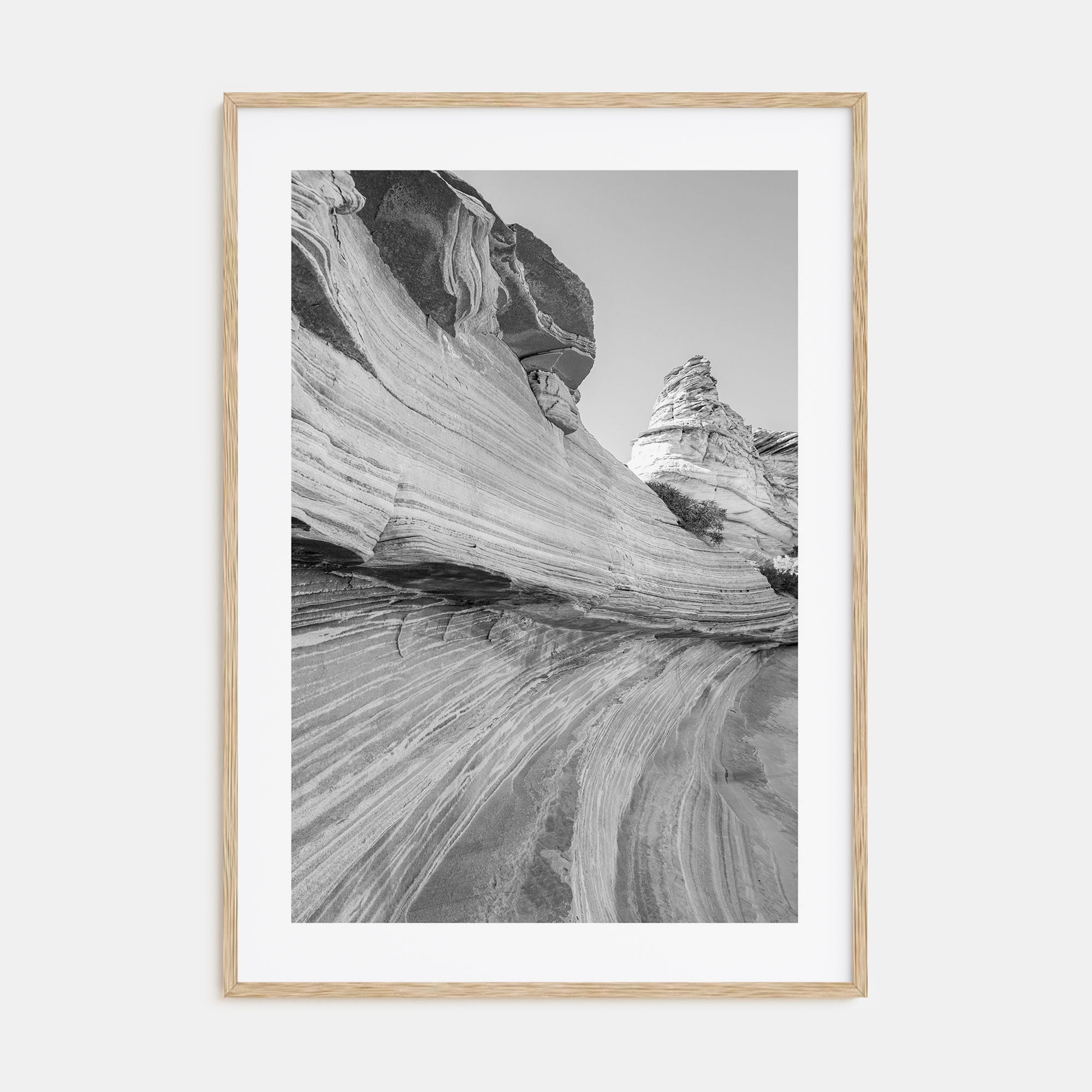 Arizona Photo B&W No 3 Poster