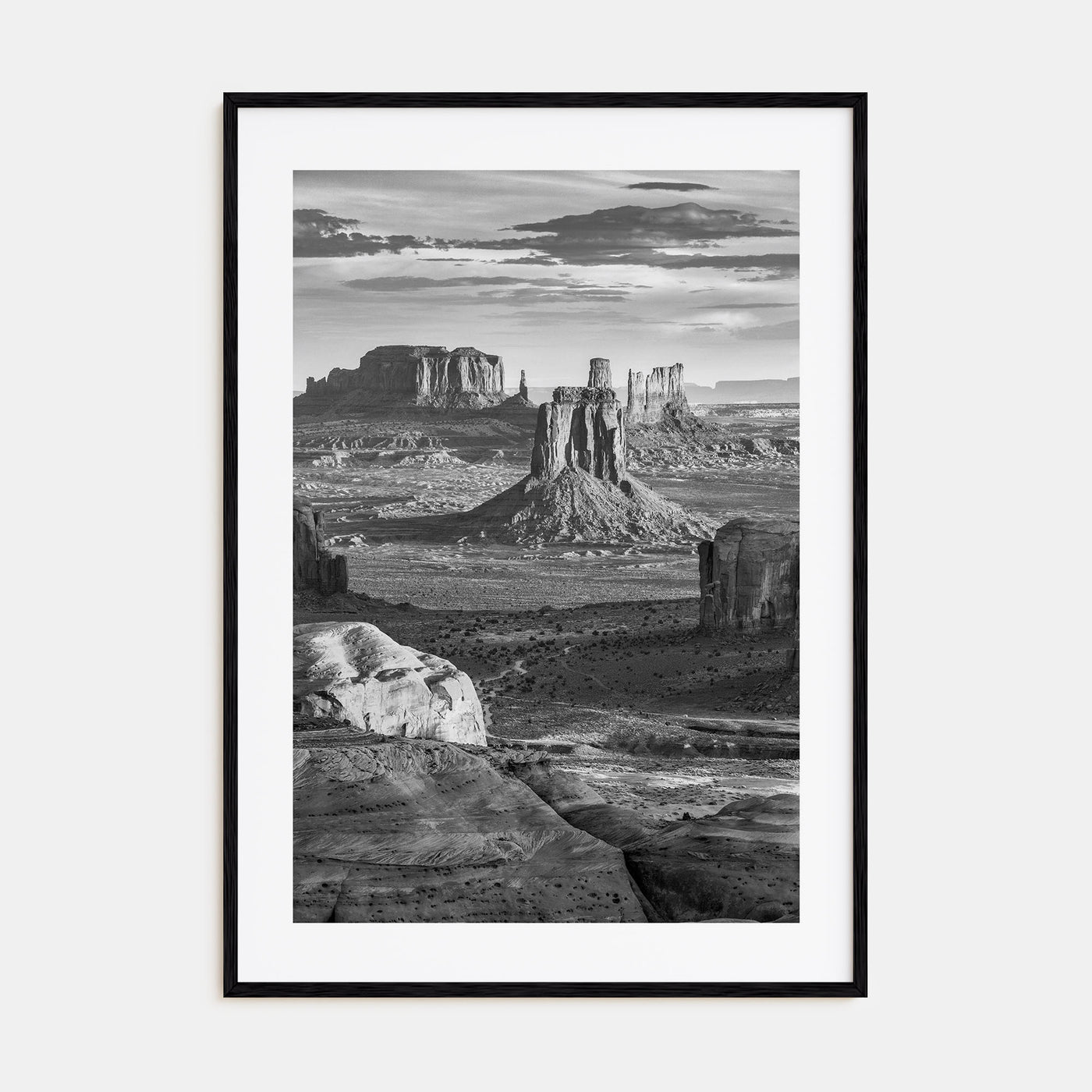 Arizona Photo B&W No 4 Poster