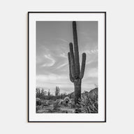 Arizona Photo B&W No 5 Poster