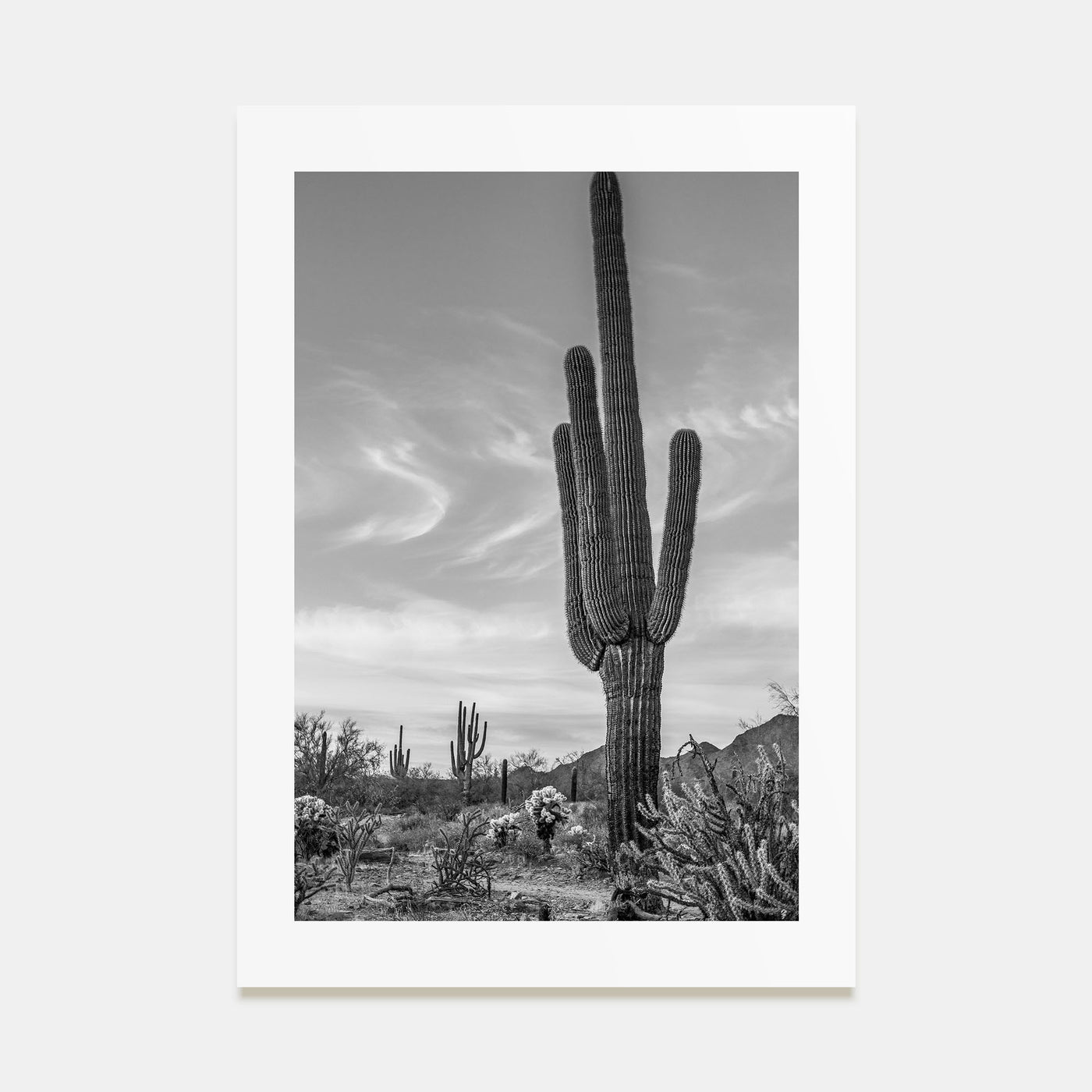 Arizona Photo B&W No 5 Poster