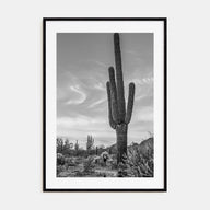 Arizona Photo B&W No 5 Poster