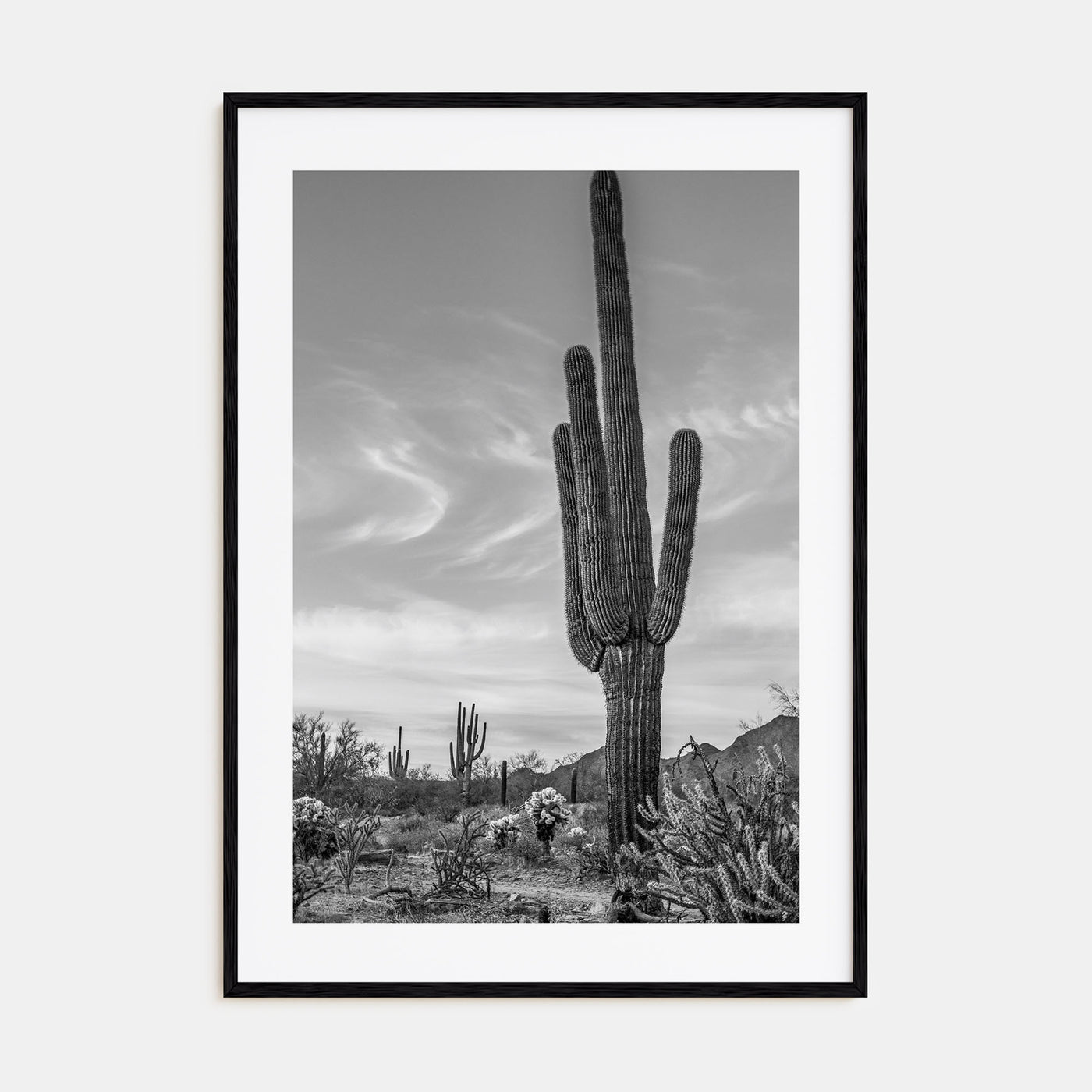 Arizona Photo B&W No 5 Poster