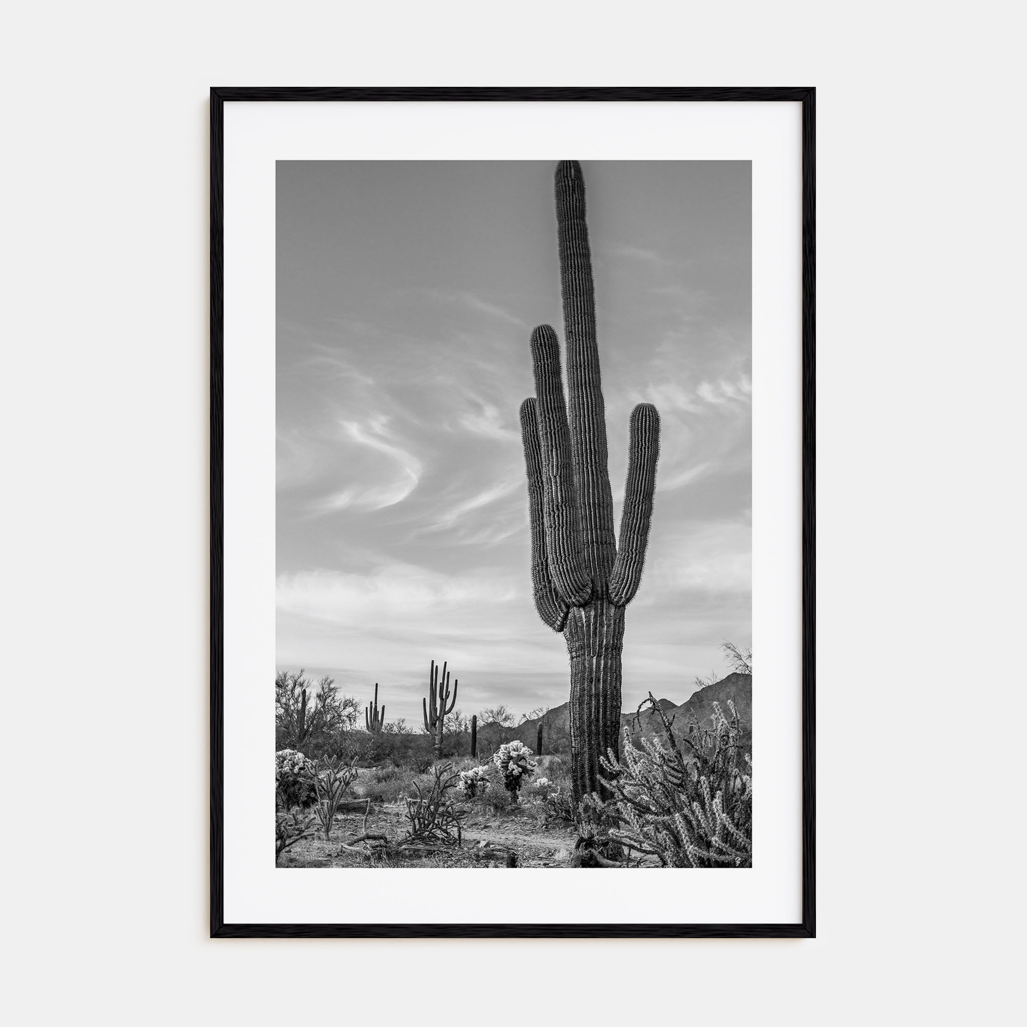 Arizona Photo B&W No 5 Poster