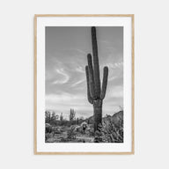 Arizona Photo B&W No 5 Poster