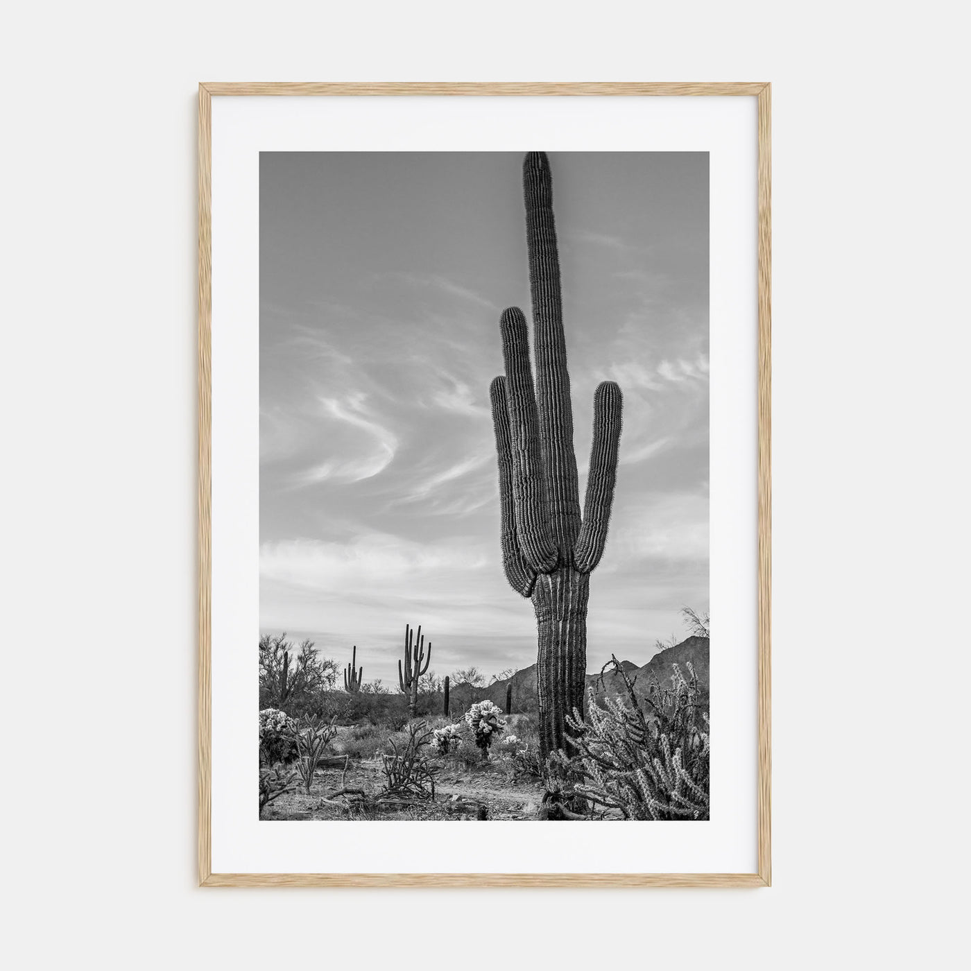 Arizona Photo B&W No 5 Poster