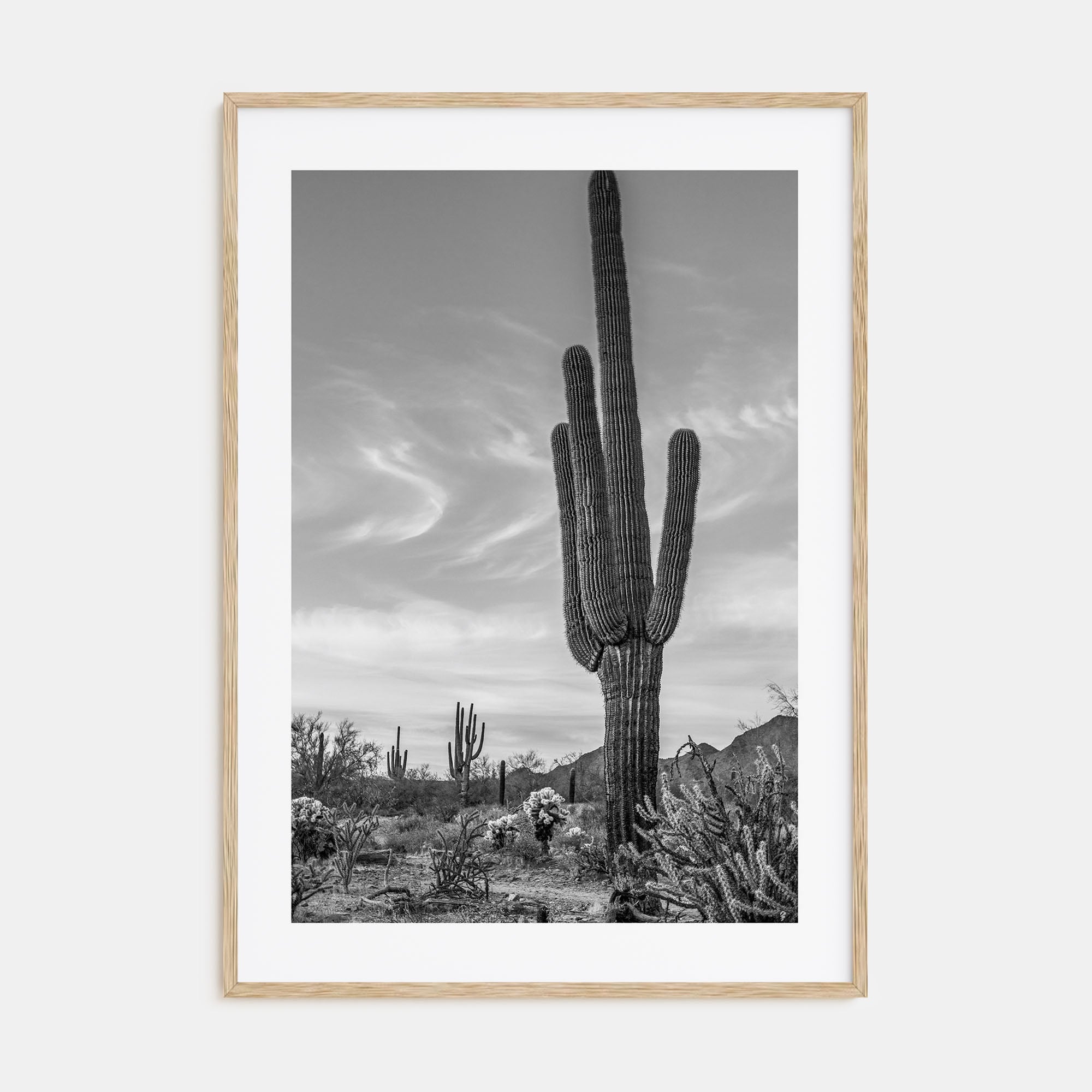 Arizona Photo B&W No 5 Poster