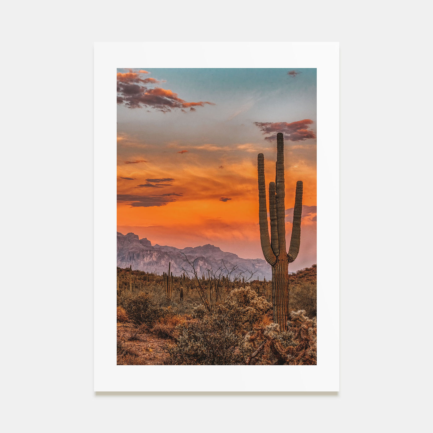Arizona Photo Color No 1 Poster