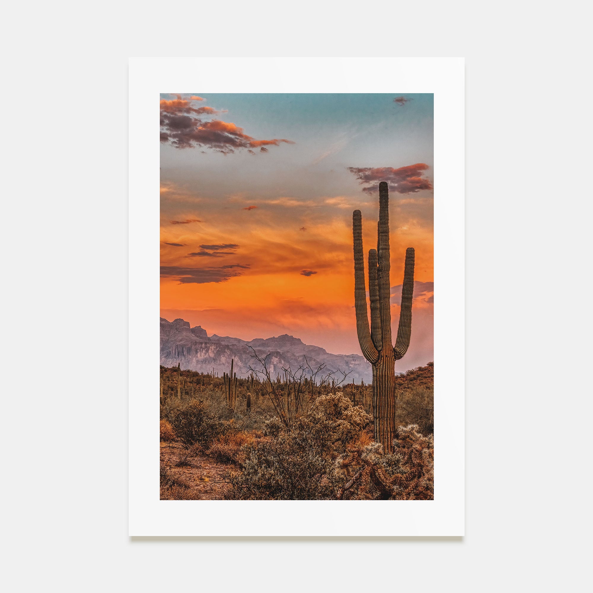 Arizona Photo Color No 1 Poster
