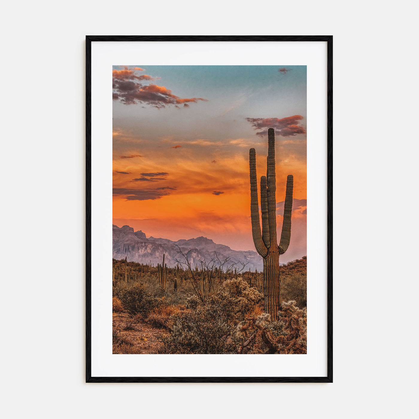 Arizona Photo Color No 1 Poster