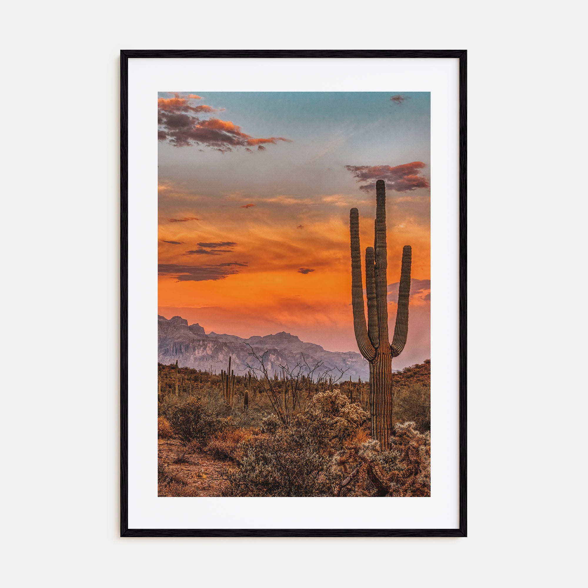 Arizona Photo Color No 1 Poster
