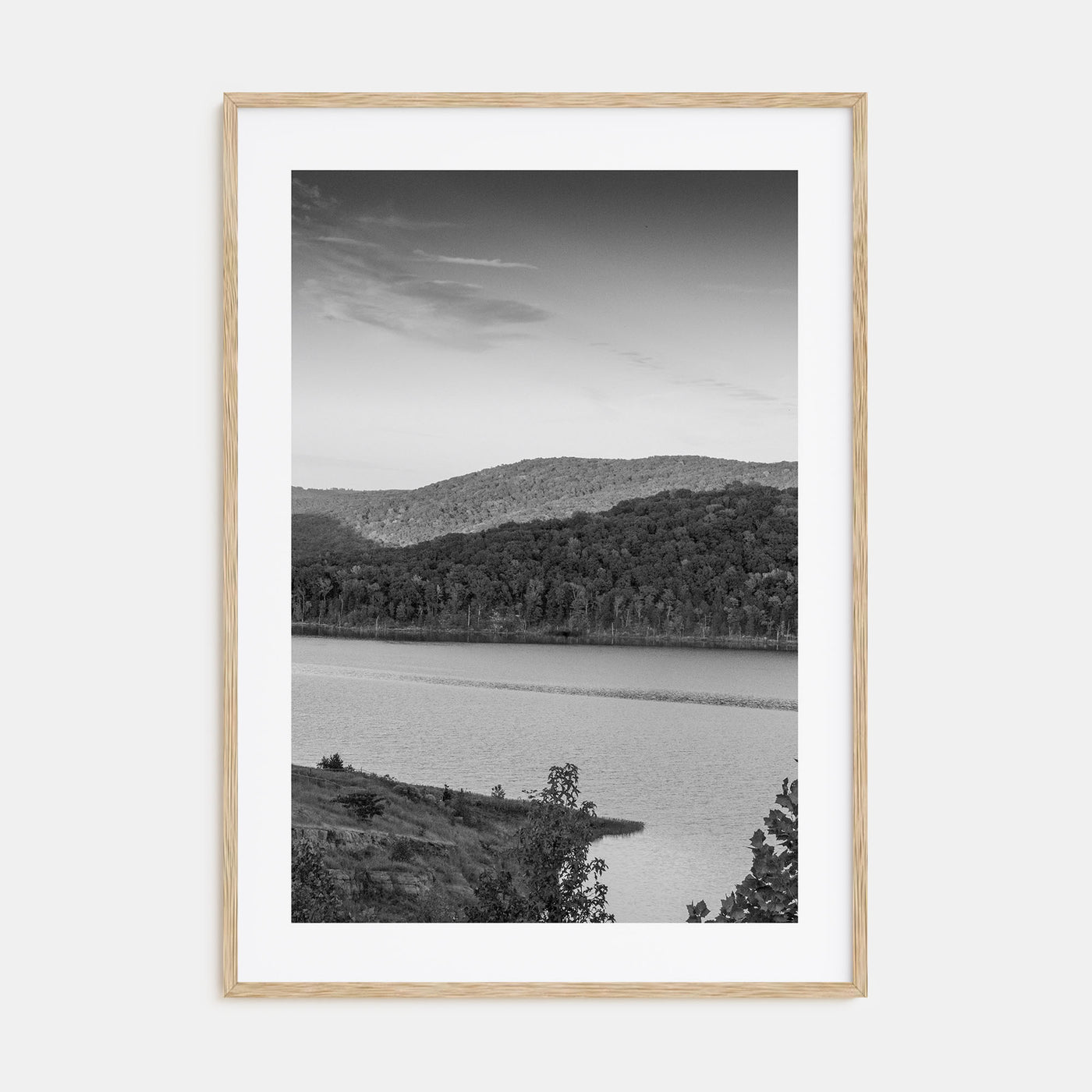 Arkansas Photo B&W No 3 Poster